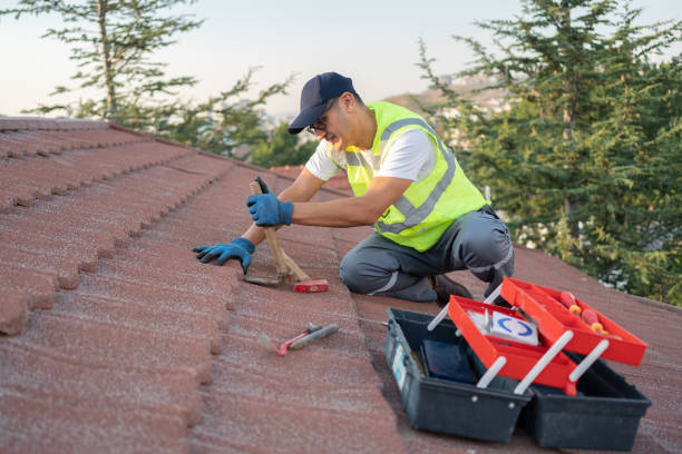 Best Flat Roof Repair Services  in Vienna, GA