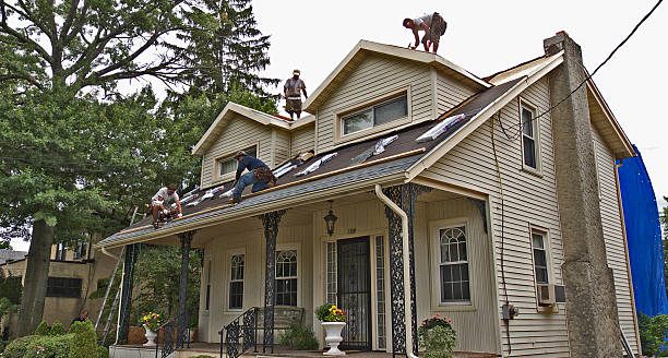 Best Roofing Contractor Near Me  in Vienna, GA