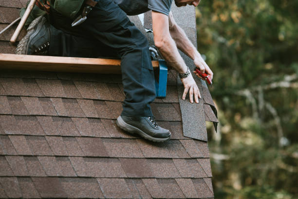 Best Local Roofing Companies  in Vienna, GA